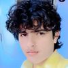 gulzaramhad805