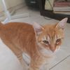 benja_catelotti21