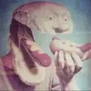 dude_money