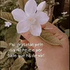 taniabarros050