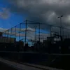 crazydog11