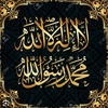 shaibi339