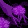 shu._27d