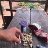 slngitcty