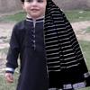 haroonkhan8640