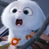 qoyum_7815