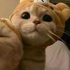 vikit_a