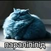 name_surnameeeee