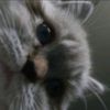 itsmeberrrrryyy8