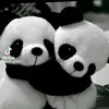 murad__667