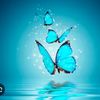 sky_angle_70