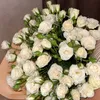 g_08ana