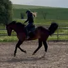 krissi.nre353