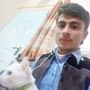 bacha7686