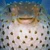 puffi.00