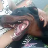 naiyrasouza