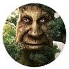 treeman1901