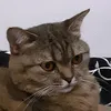 _cleersss777_