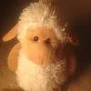 mattyboolamb