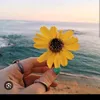 evysilva816