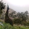 ely_illc