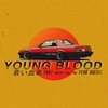 youngbloodcars