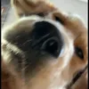 elna9_