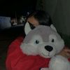 sarita.vi09