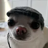 sarahfromfranbow