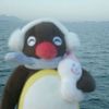 user130613720610