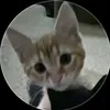miloseguel