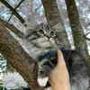 ollie_boops_rosie