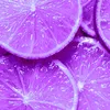 uncitronviolet1