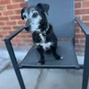 charlie01517