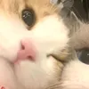 jujululu548