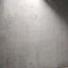 cebolinha1347