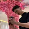 _llyc2