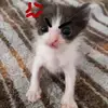 alexa_040400