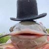 catfish.wit.a.tophat