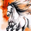 thienhoang12799