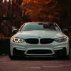 dima568753