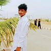 molagull503