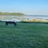 alf_25345