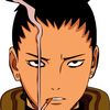 shikamaru243