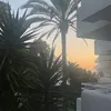 genevievefc