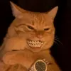 .joobah