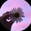user_larisssa_emanuelly