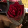 ericasillva25