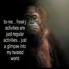rigbyiscool