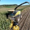 davidshoferfarms